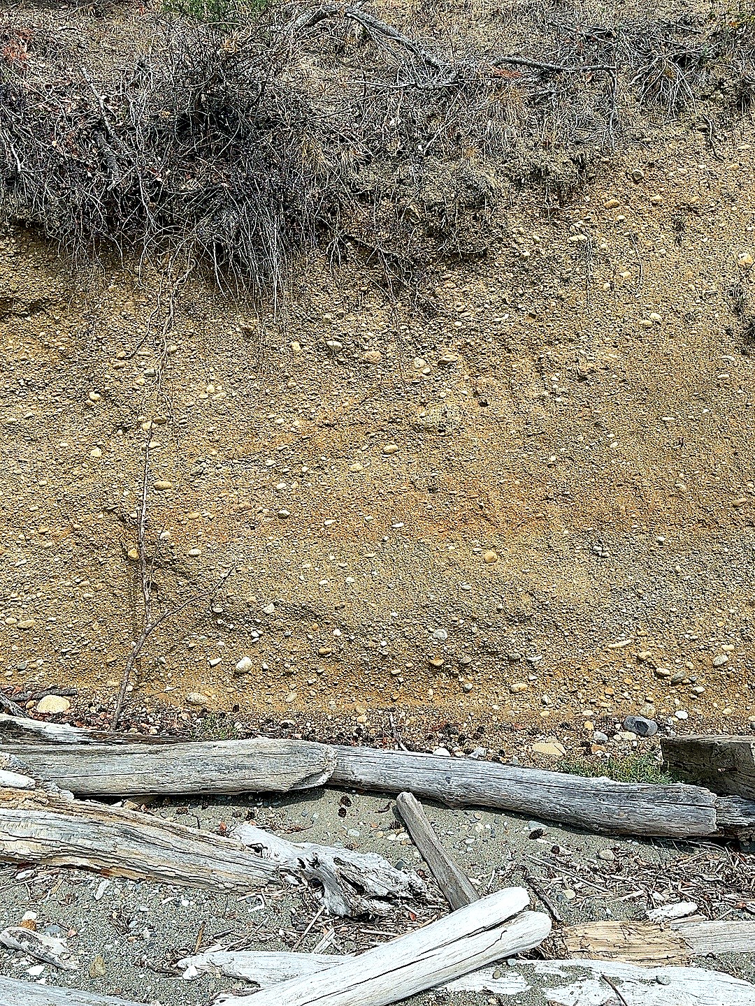 Sand, fine gravel, and rounded pebbles exposed in the cliff
