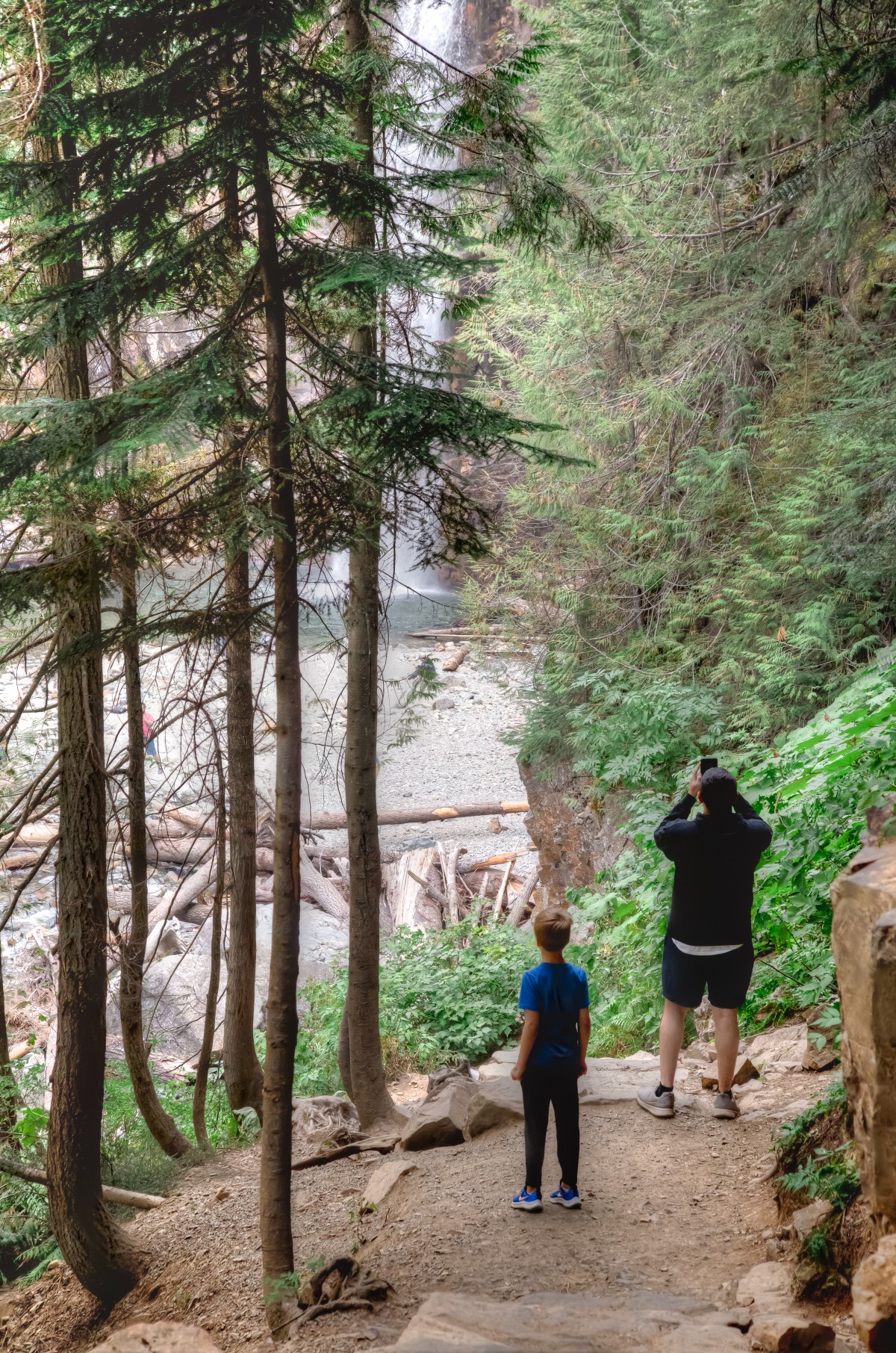 Franklin Falls trail through old-growth forest