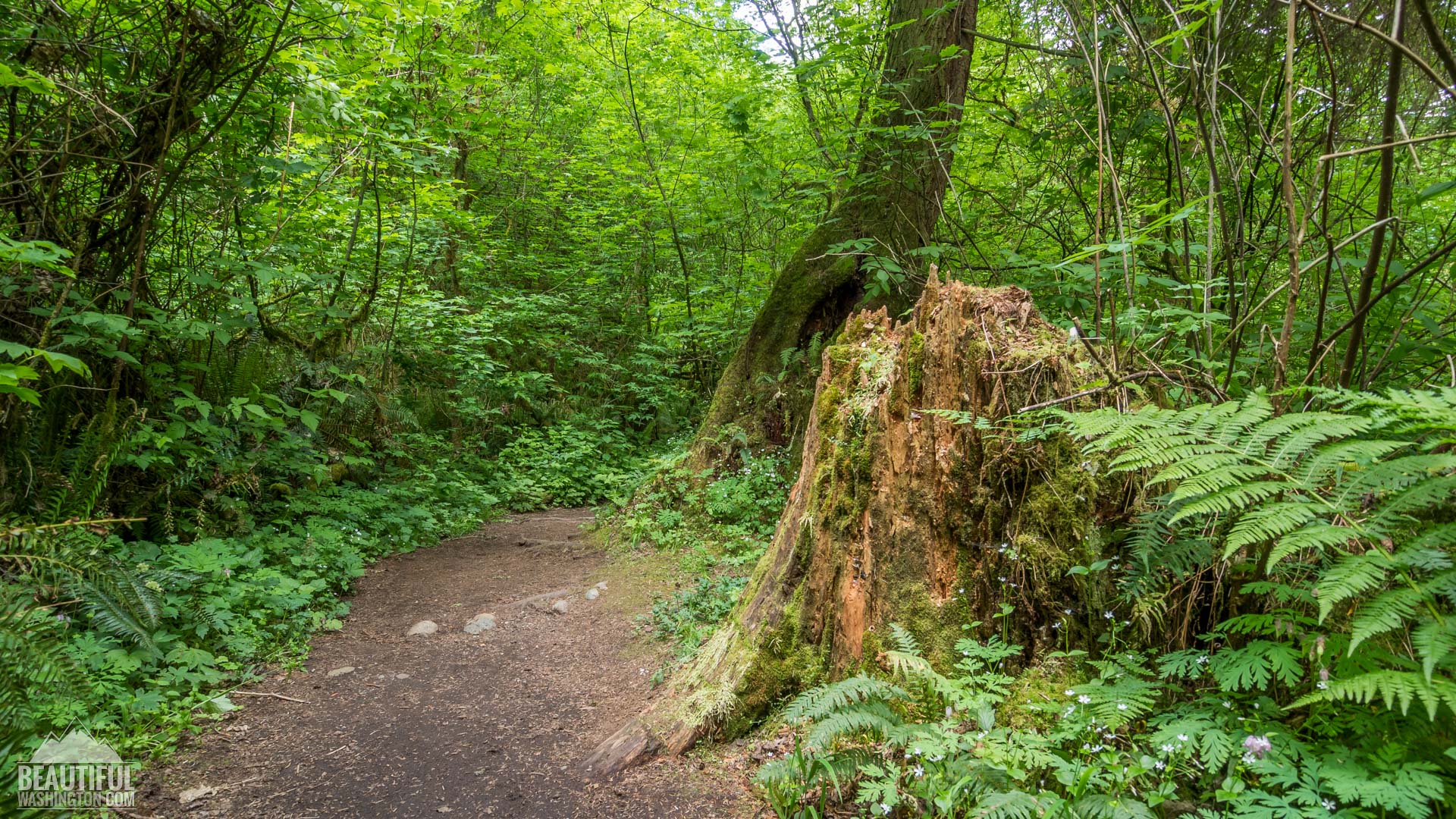 Coal Creek Natural Area wide view