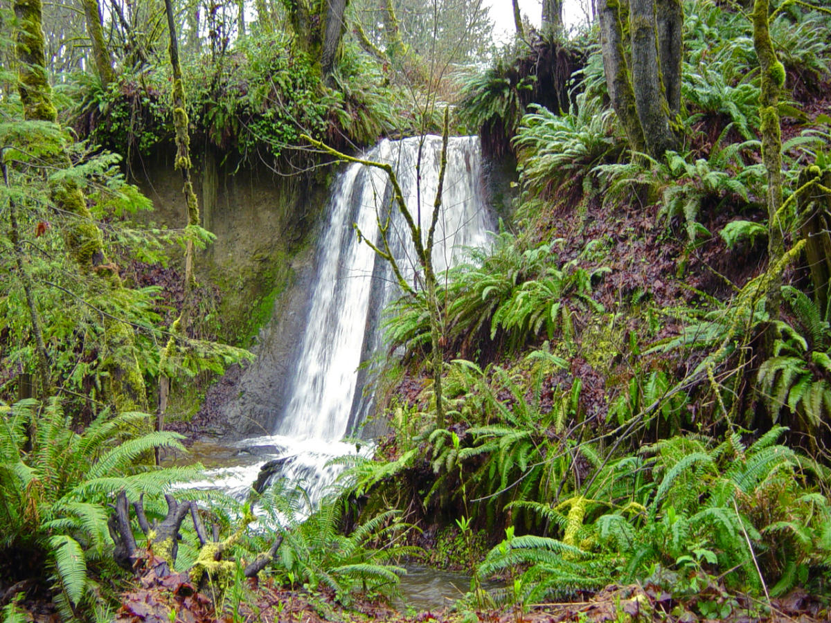 Waterfall along Coal Creek Trail