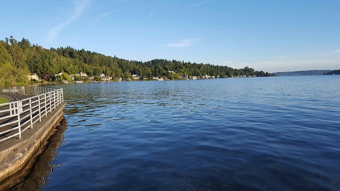 Newcastle Beach Park Lake Washington view